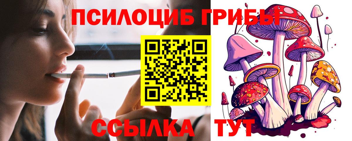 Псилоцибиновые грибы мухоморы Фрязино