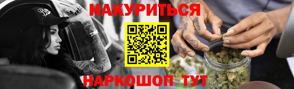 Бошки марихуана сатива  Вход с VPN  Конопля планчик  Фрязино 